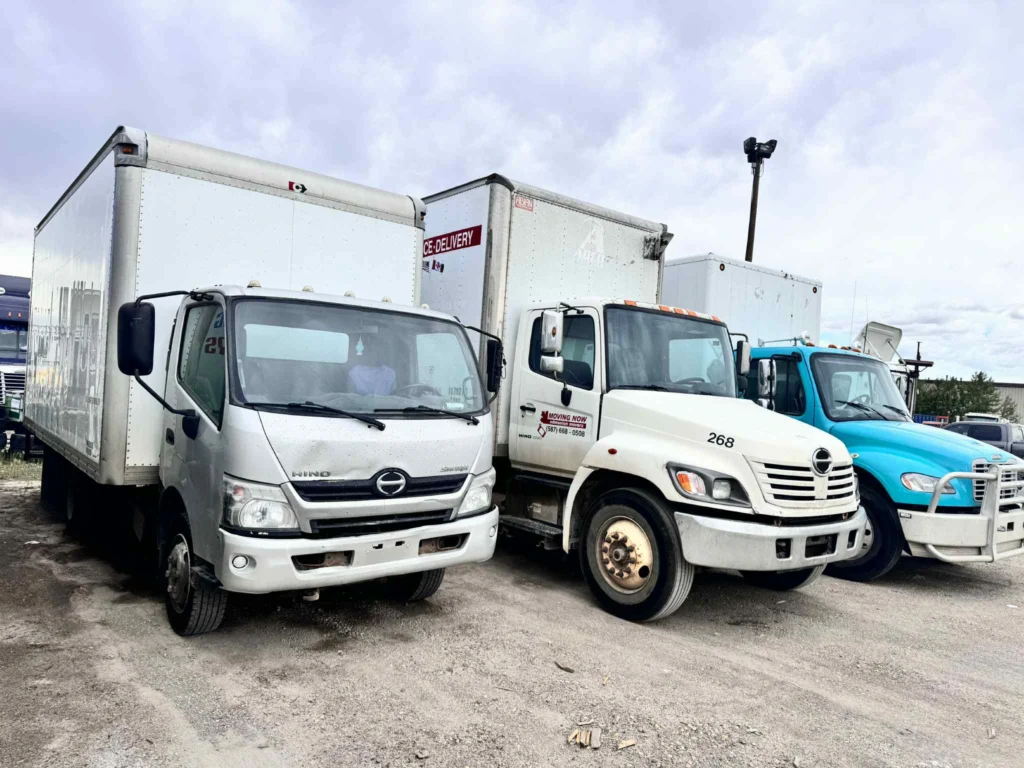 c0506bd4 7e00 4cca bed5 89fbcaf302ae